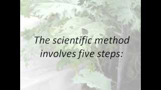 The Scientific Method Presentation [upl. by Savill646]