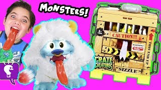 CRATE CREATURES Toy Review and GAME PLAY with Fuzzy MONSTERS by HobbyKidsTV [upl. by Dinnage935]