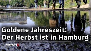 Regen bunte Blätter und Kastanien Der Herbst ist in Hamburg angekommen [upl. by Ramgad]