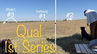 Qualifying Retriever Field  1st Series Land Marks [upl. by Gnehc]