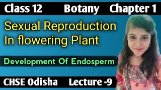 Development Of Endosperm Sexual Reproduction In Flowering Plant Lecture 9 CHSE Odisha [upl. by Yejus591]