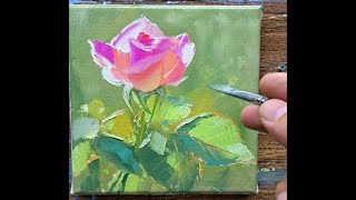 Rose 10х10 oil painting Vugar Mamedov [upl. by Sherburn216]