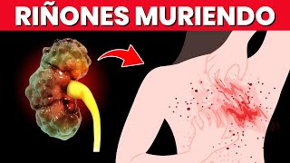 ¡SEÑALES DE QUE TUS RIÑONES ESTÁN MURIENDO [upl. by Caria]