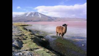 Andean traditional folk music  SurazoBolivia  Imillitay [upl. by Eisdnyl416]