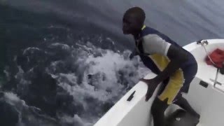 sailfish espadon voilier la somone Sénégal avec pap [upl. by Ozner452]