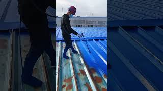 Roof paint renovation process [upl. by Maxy599]