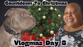 Vlogmas Day 8  Christmas Calendar Countdown  Nova Enjoys A Lunchbullybreed americanbullybreed [upl. by Aicssej]