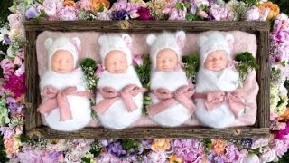 Rare Identical Quadruplets Adorably Sleep Through Newborn Photo Shoot [upl. by Odlareg]