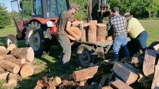 Grande corvée familiale de bois 💪 [upl. by Fe]