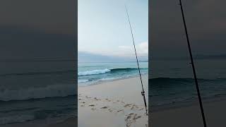 Beach Fishing at Haycock in Pambula beachfishing fishingaustralia justfishing [upl. by Hgielrebma584]