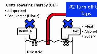 Understanding Gout [upl. by Sansbury962]