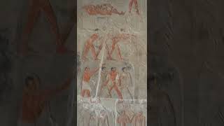 Inside the Tombs in Saqqara Egypt travel wealth africa kings pharaohs amen hieroglyphics [upl. by Herwin492]