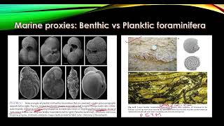 Application of Micropaleontology By Rumela Bhowmick Msc IIT Bombay PhD IIT KGP [upl. by Kera]