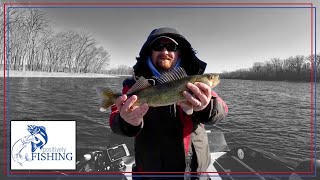 Aggressive Walleye on the Mississippi River on blade baits [upl. by Bagley]