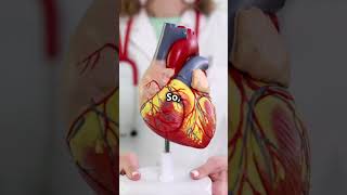 Why the Pope Cant Donate Organs 😲 facts crocodileteeth americansinger [upl. by Joya545]