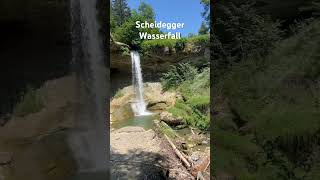 Scheidegger Wasserfall blumennatur wasserfall [upl. by Akienaj]