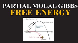 Partial molal Gibbs free energy  Thermal Equilibrium  Physical Chemistry By Dr Usman ChemClarity [upl. by Nebuer]