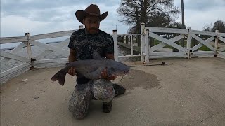 HUGE CATFISH CAUGHT OUT THE LAKE ll Hunt For The Blue Catfish ll [upl. by Assirem]