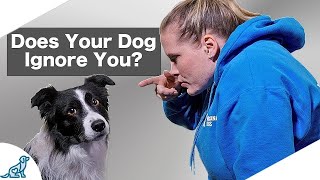 Are You Accidentally Being A BAD Leader For Your Dog [upl. by Arytal]