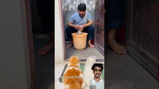 maalik ke bure din aa gye🤣😂 cat viralcat catvideo catcomedy [upl. by Jez]