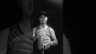 Tutorial para clarinete quotelefantes rosasquot  dumbo [upl. by Jauch]