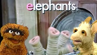 All the Sesame Street Home Videos where Oscars Pets are onscreen [upl. by Hall183]