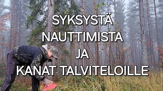 Syksystä nauttimista ja kanat talviteloille [upl. by Vary]