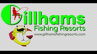 220lb Mekong Catfish at Gillhams Fishing Resorts Krabi Thailand [upl. by Pinter]