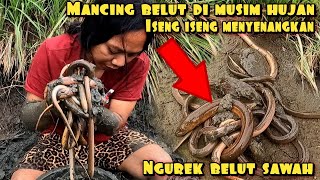 MANCING BELUT DI MUSIM HUJAN SEKALI MASUK LANGSUG DI SAMBAR [upl. by Carmelle]