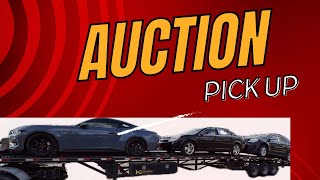 Manheim auto auction drop off bought sight unseen [upl. by Cohe]