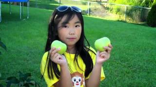 Dwarf Columnar Apple Organic Backyard Garden Harvest [upl. by Cherin152]