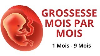 Evolution du fœtus  grossesse mois par mois [upl. by Ylelhsa]