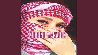 Kurdish tırap kurdno yanabin [upl. by Jacobba]