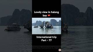 Lovely view halong bay 🚢🇻🇳  Travel with Gagan trending automobile vietnamtravelvlog vietnam [upl. by Epul]