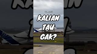 Kalian Tau Gak sturgeon acipenser caviar beluga airbusbeluga aviation faktaunik funfact [upl. by Dalton910]