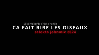 LA COMPAGNIE CREOLE CA FAIT RIRE LES OISEAUX VRS REMIX SELEKTA JOHNMIX 2024 [upl. by Nnasus194]