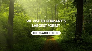 Germanys black forest can surprise you [upl. by Maggio6]