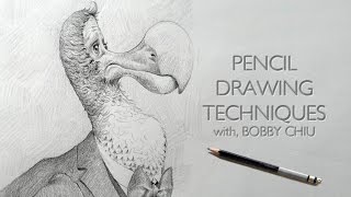 Pencil Drawing Techniques [upl. by Reivilo]