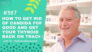 Getting Rid Of Candida And Healing Your Thyroid with Dr Michael Biamonte  Waist Away Podcast [upl. by Adnilemre]