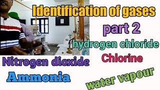 Identification of gases second part hydrogen chloride nitrogen dioxide chlorine ammonia water v [upl. by Aicilav]