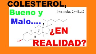 COLESTEROL bueno y malo ¿EN REALIDAD [upl. by Novhaj]