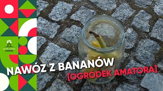 Nawóz z bananów  szybki przepis [upl. by Neeneg]