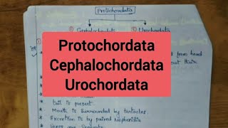 ProtochordataCephalochordata Urochordata [upl. by Llenyl]