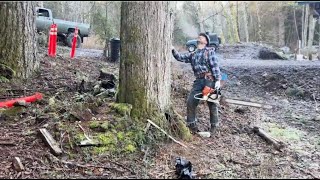 Cutting another rotten tree at Uncle Randys [upl. by Githens]