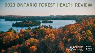 2023 Ontario Forest Health Review [upl. by Wagner]