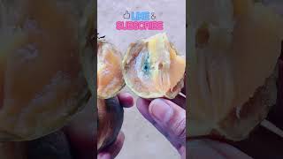 Sapota Fruit  Chikoo fruit  Sapodilla  chikoo sapota sapodilla short youtubeshorts shorts [upl. by Tiler]