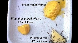 If Margarine Is Healthier Why Won’t Ants Eat It [upl. by Hsihsa234]