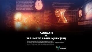 Cannabis vs Traumatic Brain Injury [upl. by Wilmette]