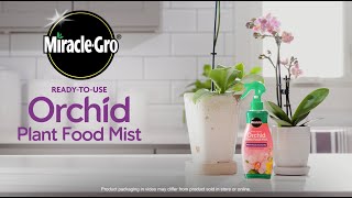 How to Use MiracleGro Orchid Mist [upl. by Roid181]