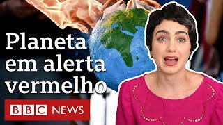 5 pontos do relatório da ONU sobre efeitos alarmantes das mudanças climáticas [upl. by Anelrac]